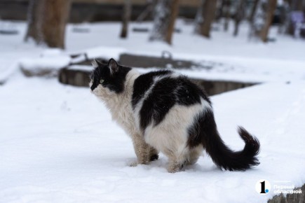 ��� � ���� ���������� ������� ����������� ������� ����� �������� �� ���������