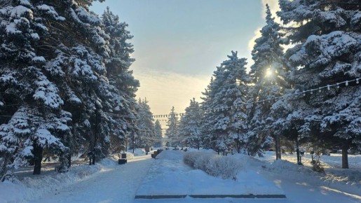 123 ������ ������� � ������ ���������� 23 ������: ������ �������� ����� ��� ������