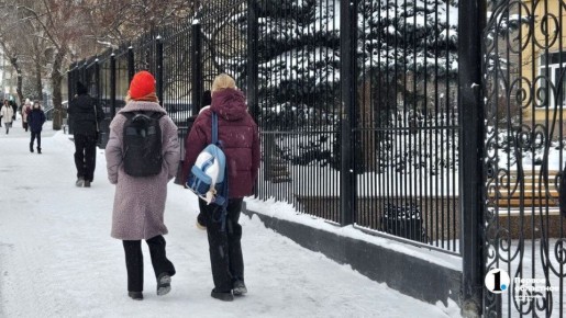 В Челябинске отменили занятия в школах 23 января