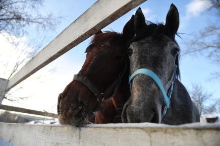 ����� � ��������� �� ����: ����� ������� ����������� ������� �� ���������� ������ �������