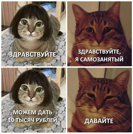 Каждая пятая компания в Челябинске работает с самозанятыми