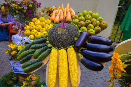 ����������� ��������������� �������� ������������ ��������� �����