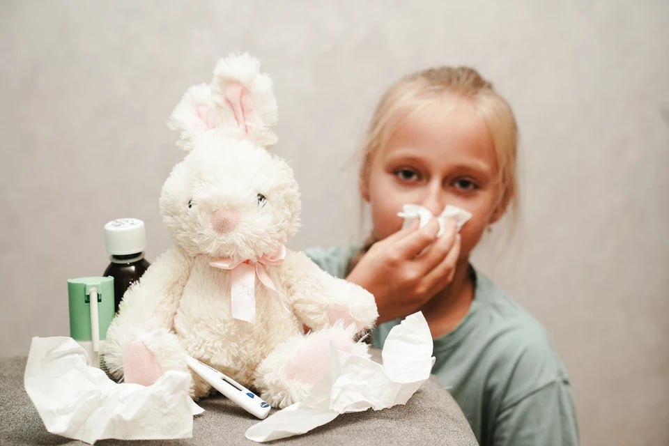 В Челябинской области появились случаи свиного гриппа