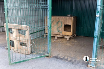 ����������� ����������� �������� ��������� � ����� ��� �������� ����� ������������ ������