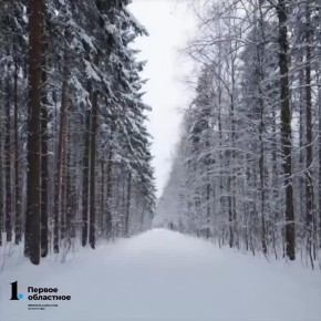 ������� ����� ����� �������