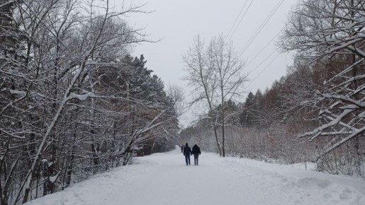 �������� ������ �������� � �����: � ����������� ������� ��� � ������������ ������ ������� ������