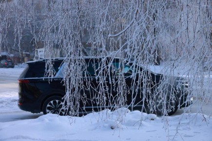 ������ ����, �����������!. ������� �����������, 26 ������