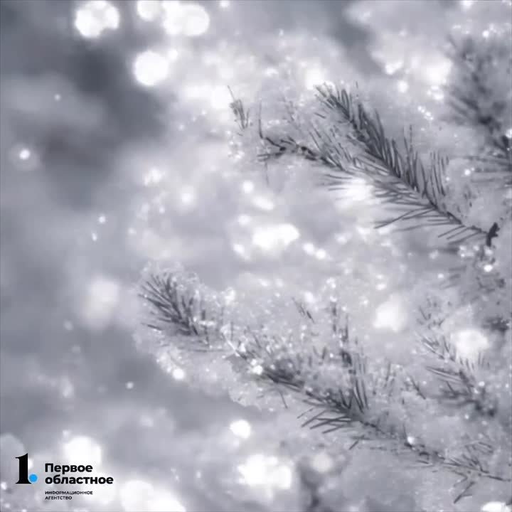 Утром — до -29°C, днем выглянет солнце и температура поднимется до -19°C, а вечером снова похолодает до -24°C