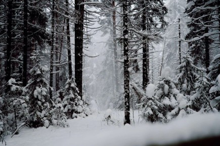 ���������� � ��� ����� ���������� �� ������: ��������� ���������� ������ ������� � ���������