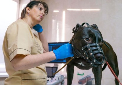 ����������� �������� ���������� � �������� ����������� �����-�����������