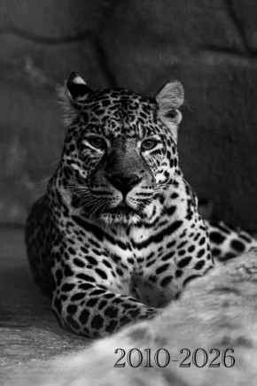 Печальные новости из челябинского зоопарка