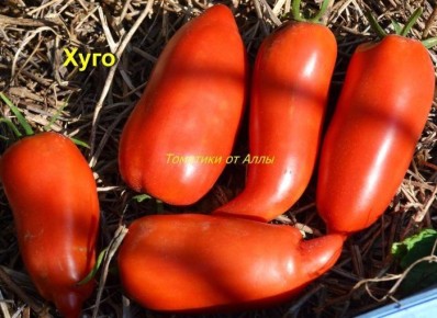 ����� �����: ��������� ����� ��� ������ �������