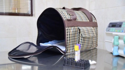 ����� ��������� ���������� � �������������, ������������ � ��������� ����������