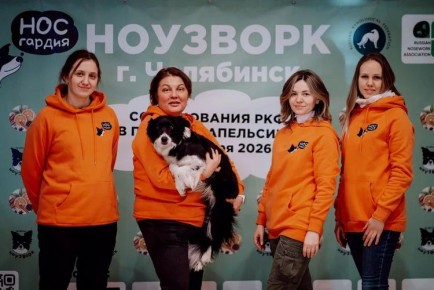 40 собак-сыщиков съехались на соревнования по ноузворку в Челябинске