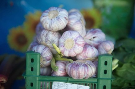 ����� ������� ����������� ������� � ���������� �� ������ ���������� 690 ���� ������������ ���������