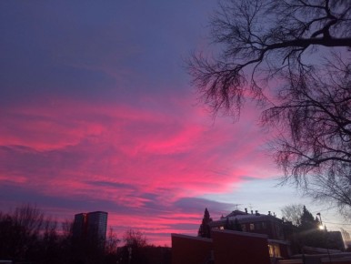 ������ ���������� ������� ��������� ������-���������� ����