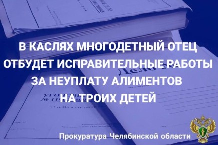 Каслинский городской суд вынес приговор по уголовному делу в отношении 34-летнего местного жителя