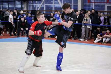 Юные единоборцы Челябинской области определили сильнейших на первенстве по СБЕ
