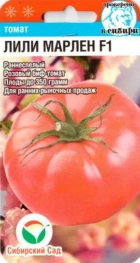 ����� ���� ������: ���������� � ������ ������������ ������� � ���������� �������