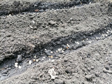 ������ ������ ����� �������, �������� � ������ ��� ���� ��������� � ��� �������� �����