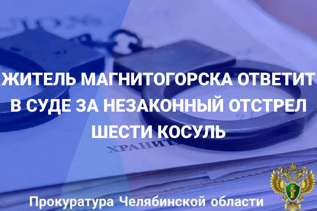 Прокуратура Нагайбакского района утвердила обвинительный акт по уголовному делу в отношении жителя г.Магнитогорска, обвиняемого в совершении преступления, предусмотренного ч. 2 ст. 258 УК РФ (незаконная охота, совершенная с...