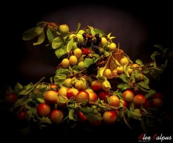 ��� ������� �������: ��������� ���������� ����� � ��������