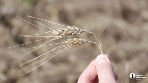 �������� ����� �������� ������� ������� �� ����������� �������