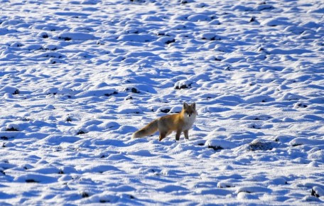 ������� �� ������ ��� � ���� ������� ����, ����, �����, ������, ������ ��� ������� ����� � �� ������, ��� ��� ������, �� ������� ����� � �� ��������? �� ���� ������ � ����� ������ ����� ������� ����������� ������� � ��������...