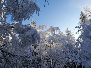 ���� 2025-2026 ����� � ����� ����������� ������� ���� �� ������� ����� ����� ������������