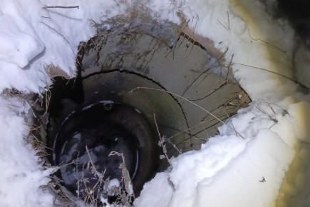 Трудно остаться равнодушным к беде, которая произошла в городе Нязепетровске Челябинской области