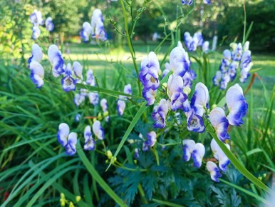 �������� ������� �������: ��� ���������� �������� �������� �������� ��� ������