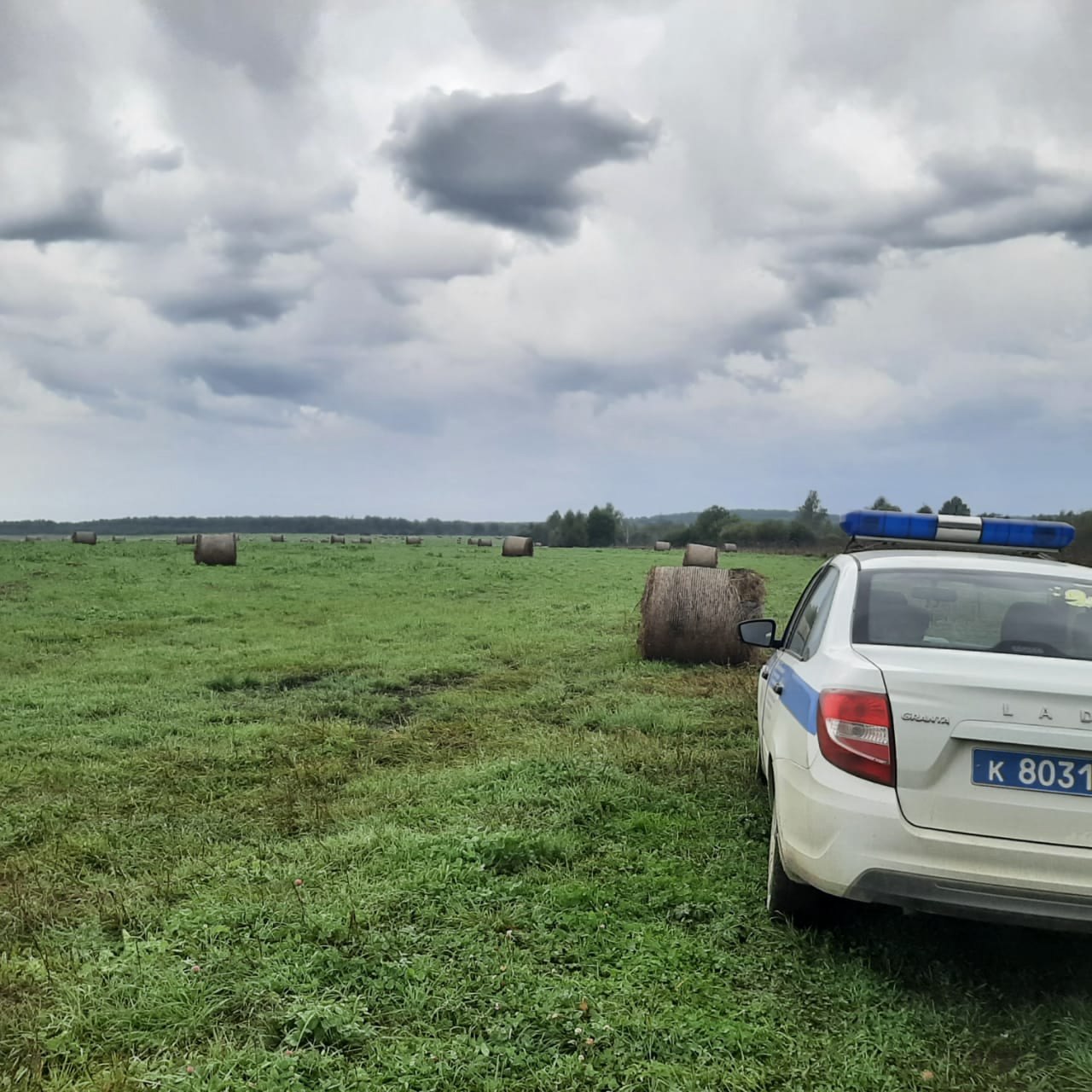 Житель Нязепетровского района ответит в суде за убийство двух лебедей, занесенных в Красную книгу Челябинской области Житель Нязепетровского района ответит в суде за убийство двух лебедей, занесенных в Красную книгу Челябинской области