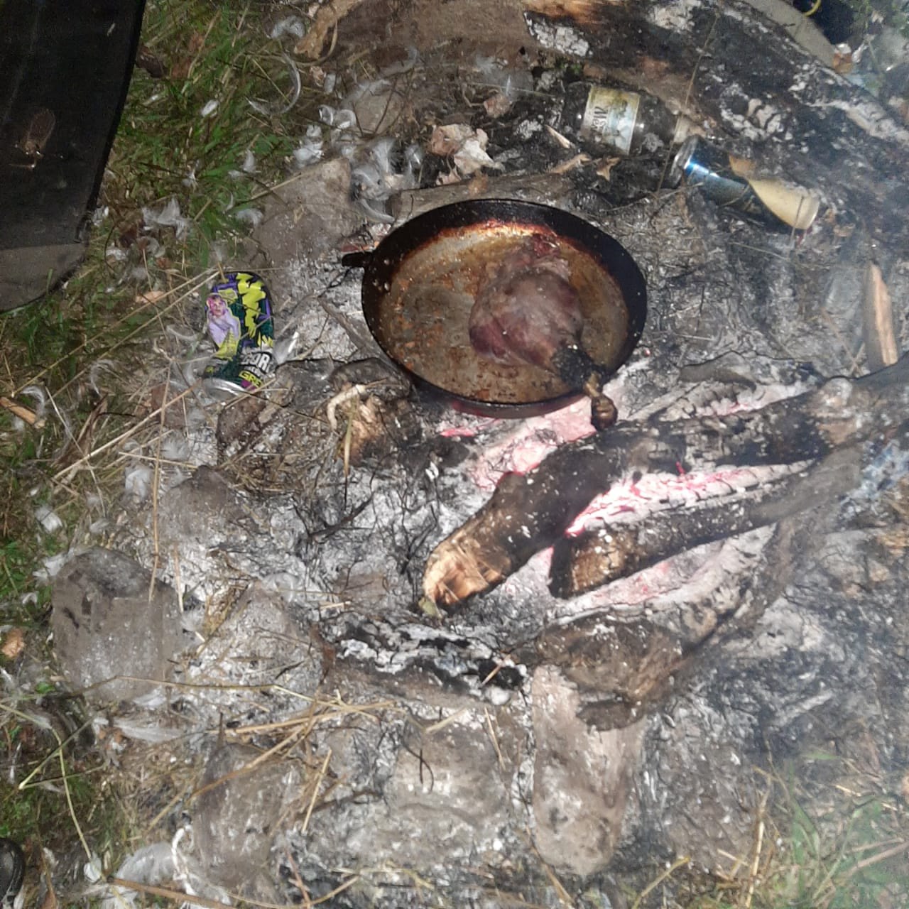 Житель Нязепетровского района ответит в суде за убийство двух лебедей, занесенных в Красную книгу Челябинской области Житель Нязепетровского района ответит в суде за убийство двух лебедей, занесенных в Красную книгу Челябинской области