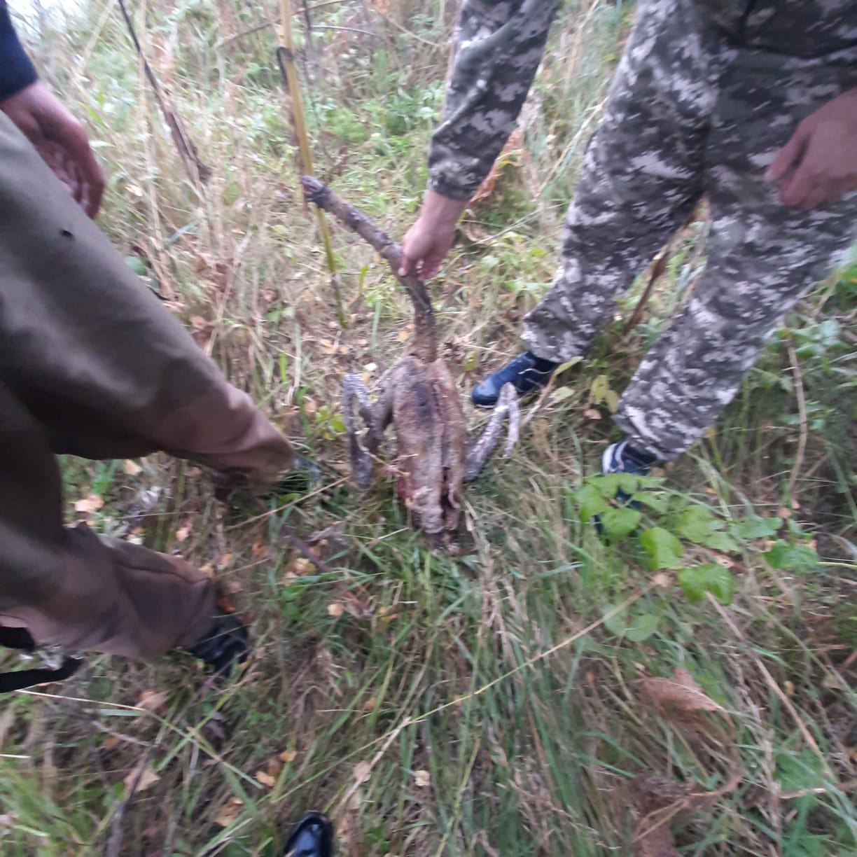 Житель Нязепетровского района ответит в суде за убийство двух лебедей, занесенных в Красную книгу Челябинской области Житель Нязепетровского района ответит в суде за убийство двух лебедей, занесенных в Красную книгу Челябинской области