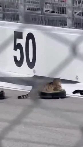 #������������31 ��������� � ������� ������� �� ��������