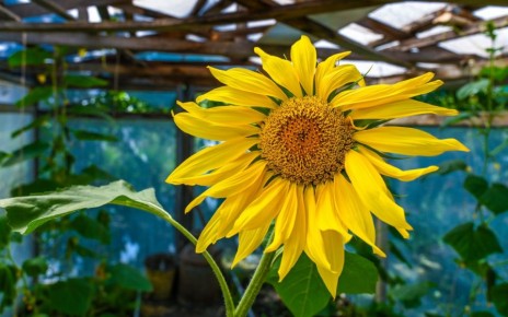 � ����������� ������� ������ ��������� ������ ��������� �������