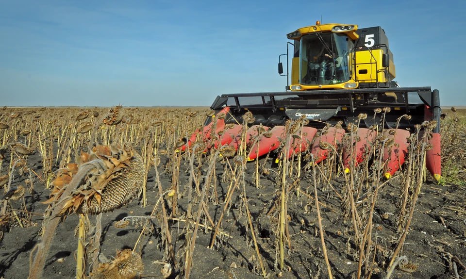 В Челябинской области зафиксировали исторический рекорд по сбору масличных культур