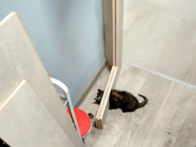 � ���������� ������� ������ ���������� ������������� �������