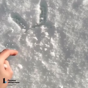 ����� �������� ����������� ������� ����� -7��, ���� ������� ��������� �� -4��, � � ������ ����� ���������� � �� -11��