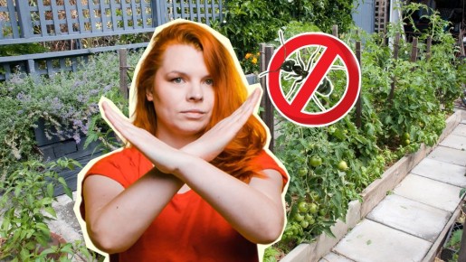 ������� � ����� ���������� � ����� ������: ����������� �� ����� ��� ���