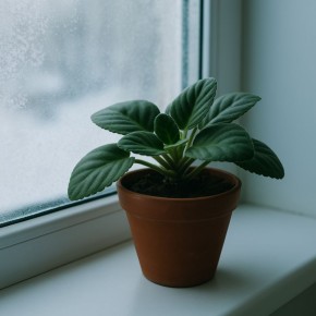 ������ ��������� ����� ��������� � ��������� ������