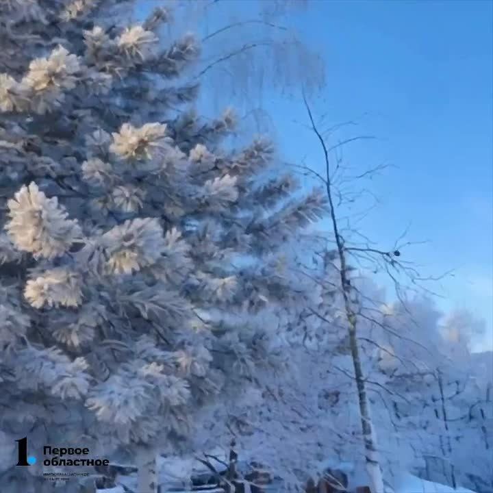 ���������� ������ ������� ����������� � ����������