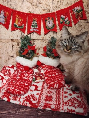 ����� ����� ���������: ��� ��������� ���������� ����������