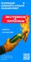 Что такое экстремизм и терроризм, и как преступники вовлекают граждан