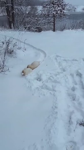 #������������31. ��������, �� ���� ������ ��������� � �� ������ ������ ��� �� ����� � ���� ���, ��� ���� ���������� ������������ ��������� � ������ �������� ��������!