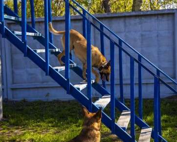 � ���������� �������� �������������� ����� ��� ������ ��������� ������ ���