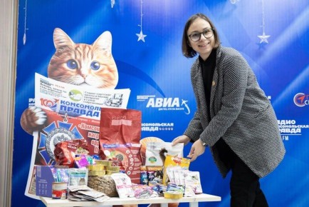 �������� ����� ����: ����������������� ���� ����� ��� �������� �� ������