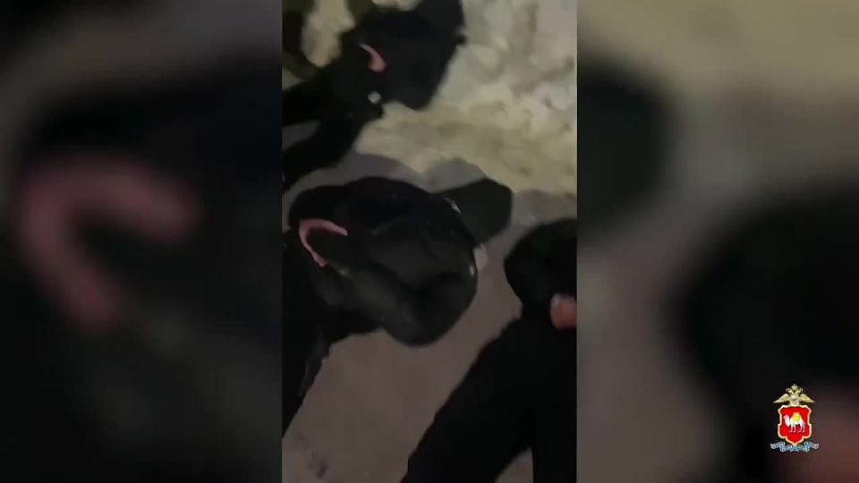 ������ ������, �������� ���������: ��� ���������� ���������� � ���������� ��������� ������������ ������ �����������