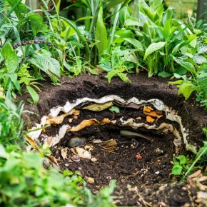 ��� �� ���� ����� ���������� ������ � ����������� ���������