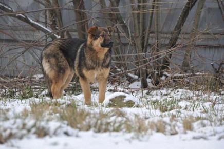 � ����� ����� ���� � ����������� ������� ������ ������ ����������� �������������� ������